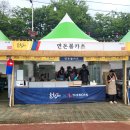 불꽃 | 남원 춘향제 초청가수 더본 먹거리 불꽃놀이 후기