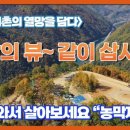 귀농귀촌사이다TV나그네쉼터 | 농막제공 / #영월#귀농귀촌#농촌살아보기_영상을 끝까지 보시면 집주인의 마음을 알수 있습니다