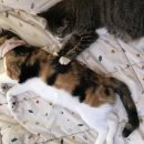 가은동물농장 이미지