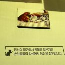 꿈이크는 동물병원 이미지