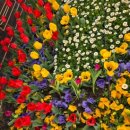 가현초병설유치원 이미지