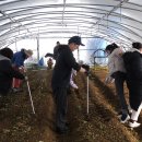 초록코끼리(주) 이미지