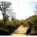 대영농원 이미지