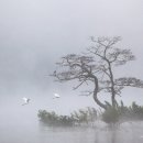 거창IC주유소 이미지