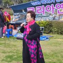 C0393 Daum카페
