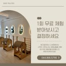 리셋세종 이미지