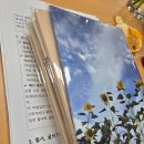 소망작은도서관 | (수업 후기) 산본도서관 필사.낭독.글쓰기 수업 6차시 : 장영희 《삶은 작은 것들로》 - 감사하고 소중...