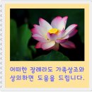 장안장 이미지