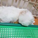 한샘만물창고 이미지