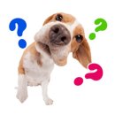 번영로 | [울산도배퀸] 번영로하늘채 디아망 시공 후기 ✨ 울산맘카페에서 입소문 난 '미친 디테일' 마감!