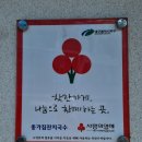 종가집잔치국수 이미지