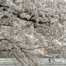 덕풍천동로 이미지