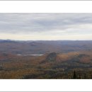 로렌시아 이미지