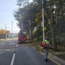 공단로가로수 이미지