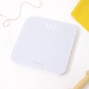 화이트전자 이미지