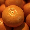 영현농장 이미지