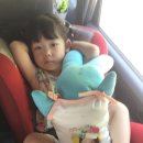 호명산밸리 이미지