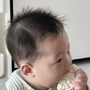 나리하우스 이미지
