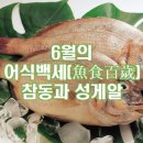 6월의 어식백세(魚食百歲) 참돔과 성게알 이미지