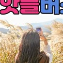 보내다제주