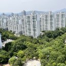 양지마을 보행자도로 이미지