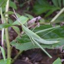 환호해맞이공원 이미지