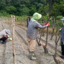 마리들농장 이미지