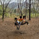 주산초병설유치원 이미지