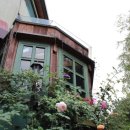 (주)해피브런치 이미지