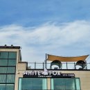 (주)화이트폭스