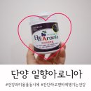 일향 아로니아 프리미엄 분말 : 아로니아 분말 추천_건강식품 추천_아로니아 건조분말 후기