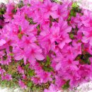 대구교육정보원 이미지