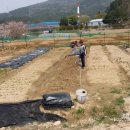 장전농장 이미지