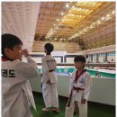 즐거운 태권도 아카데미 이미지