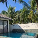 뉴월드세탁 이미지