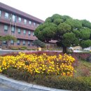 농협대학교 이미지