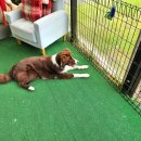 금강산숯불구이 이미지