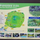 노루생태관찰원 네이버블로그