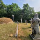 정발장군묘 이미지