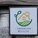 주문진소나무