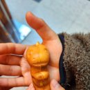 진주익룡발자국전시관 이미지