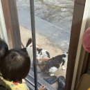 새싹 동물병원 | 일상기록 : 임신37주 + 13개월첫째