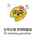 눈부시개 이미지