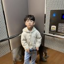 로얄키즈소아청소년과