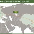 판글로비스 노컷뉴스