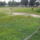 공설운동장 보조구장 이미지