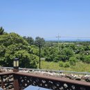 비자림라파 이미지