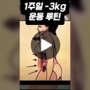 1주일 -3키로 운동루틴공개🔥 이미지