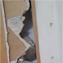 온누리건강하우스 이미지