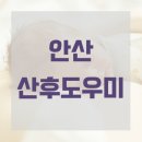 좋은밥상 좋은도우미 | 안산산후도우미 예약부터 이용까지 진짜 솔직한 후기
